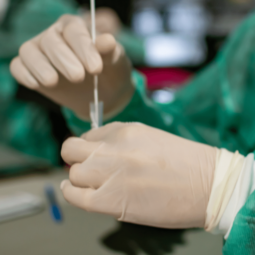 Copy of Copy of Copy of Copy of Copy of Copy of Header Image